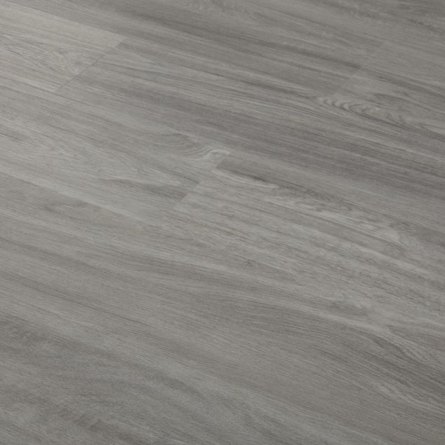 	Kiri Mushroom Oak dryback angle